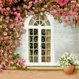 Vải phông nền cảnh trí Fo11505