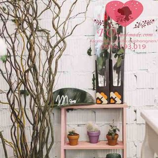 Vải phông nền cảnh trí FO6994