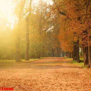 Vải phông nền cảnh trí FO7001