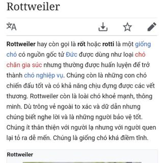 Chó con ROTTWEILER giống ĐỨC