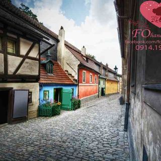 Vải phông nền cảnh trí FO2821