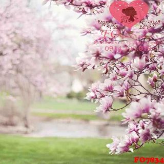 Vải phông nền cảnh trí FO7834