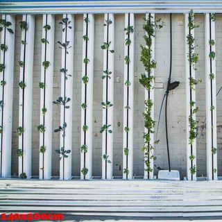 Vải phông nền cảnh trí FO7852