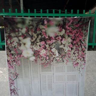 Vải phông nền cảnh trí FO6256