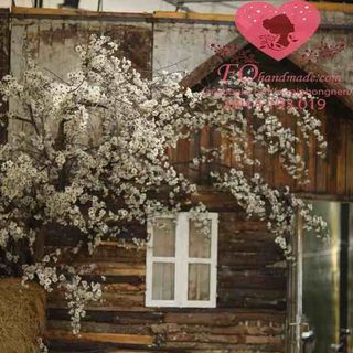 Vải phông nền cảnh trí FO6398