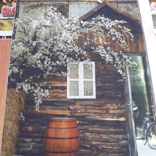 Vải phông nền cảnh trí FO6398