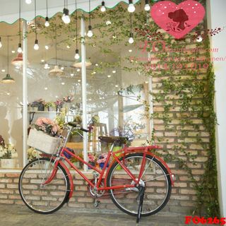 Vải phông nền cảnh trí FO6265