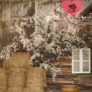 Vải phông nền cảnh trí FO6399