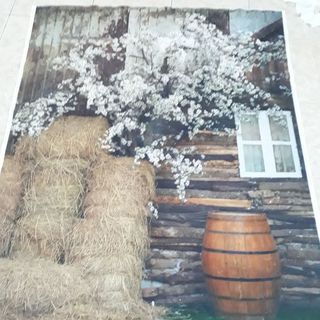 Vải phông nền cảnh trí FO6399