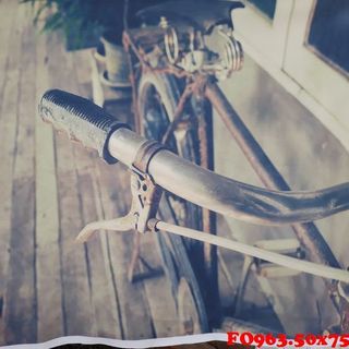 Vải phông nền cảnh trí FO963