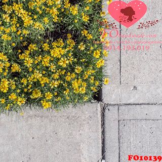 Vải phông nền cảnh trí FO10139