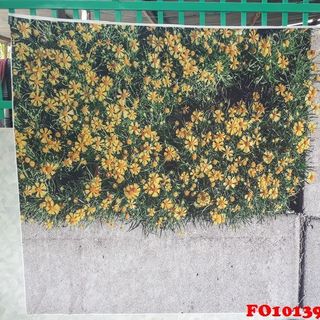 Vải phông nền cảnh trí FO10139