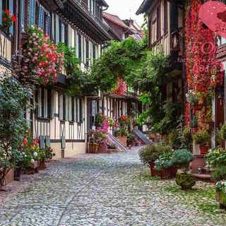 Vải phông nền cảnh trí Fo14989