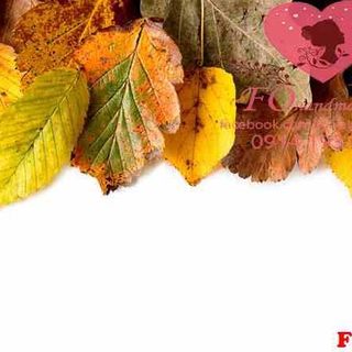 Vải phông nền hoa lá FO1189