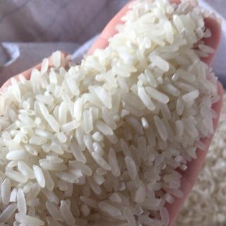 Gạo tám thơm đặc sản Tây Bắc Điện Biên