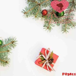 Vải phông nền giáng sinh FO3811