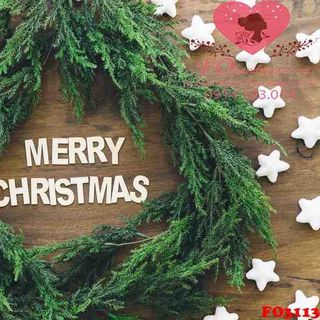 Vải phông nền giáng sinh FO3113