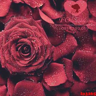 Vải phông nền hoa lá fo3265