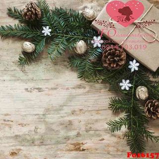 Vải phông nền giáng sinh Fo16157