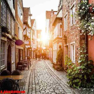 Vải phông nền cảnh trí fo13477