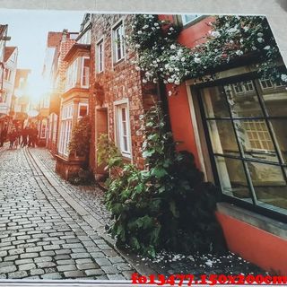 Vải phông nền cảnh trí fo13477