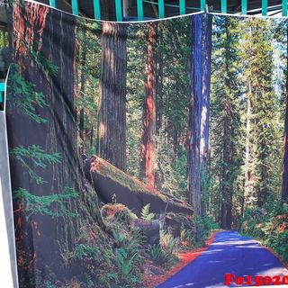 Vải phông nền cảnh trí Fo15020