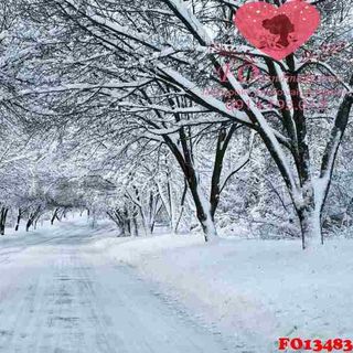 Vải phông nền cảnh trí FO13483