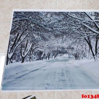 Vải phông nền cảnh trí FO13483