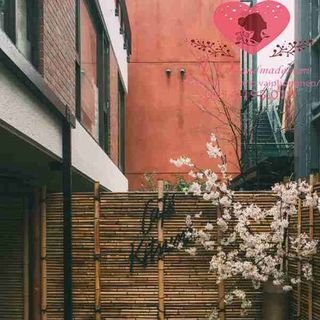 Vải phông nền cảnh trí Fo15092