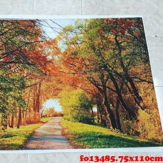 Vải phông nền cảnh trí FO13485