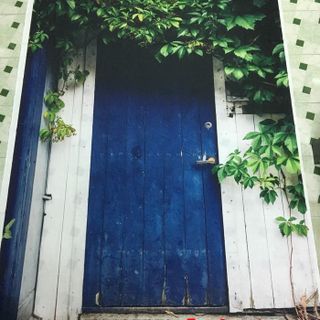 Vải phông nền cảnh trí Fo11852