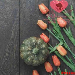 Vải phông nền halloween FO1101