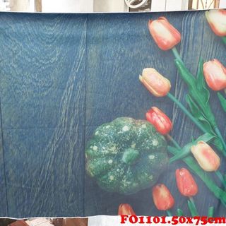 Vải phông nền halloween FO1101