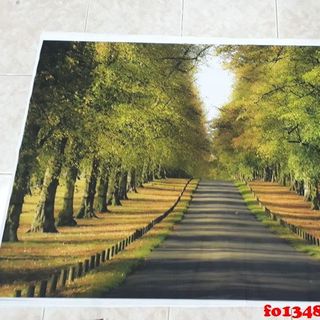 Vải phông nền cảnh trí FO13487