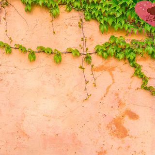 Vải phông nền hoa lá FO1195