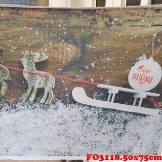 Vải phông nền giáng sinh FO3118
