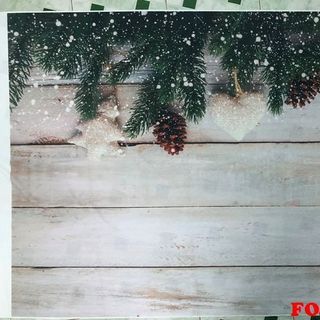 Vải phông nền giáng sinh FO4052