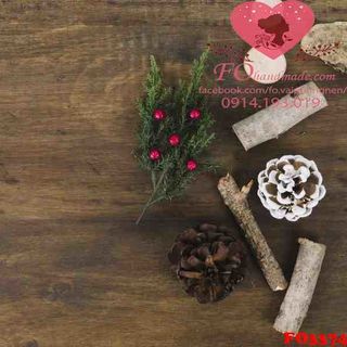 Vải phông nền giáng sinh FO3374