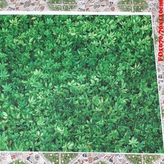 Vải phông nền hoa lá FO1070