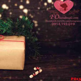 Vải phông nền giáng sinh FO13