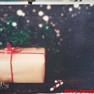 Vải phông nền giáng sinh FO13