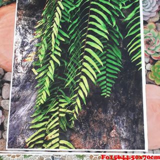 Vải phông nền cảnh trí Fo15644