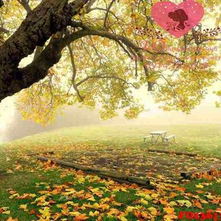 Vải phông nền cảnh trí FO13613