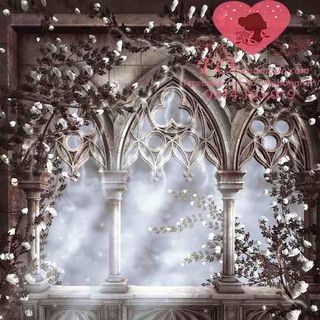 Vải phông nền cảnh trí Fo11608