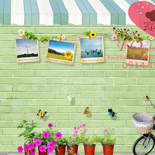 Vải phông nền cảnh trí fo12186