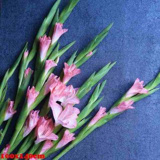 Vải phông nền hoa lá fo3247