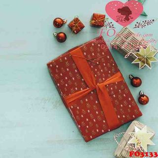 Vải phông nền giáng sinh FO3133