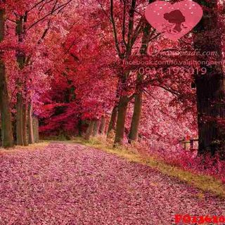 Vải phông nền cảnh trí FO13620