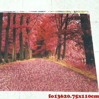 Vải phông nền cảnh trí FO13620