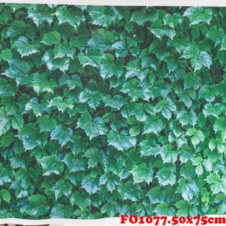 Vải phông nền hoa lá FO1077